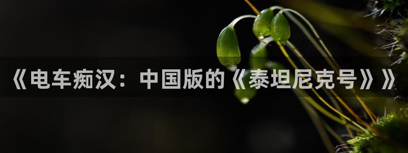 动漫评分榜