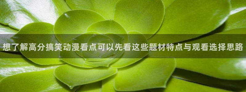 动漫网入口