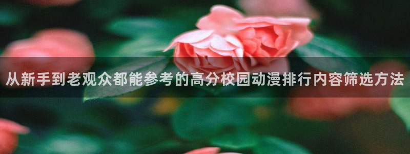 动漫网网址大全