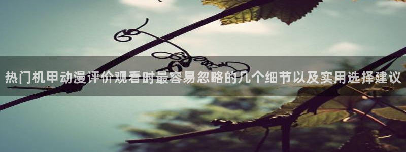 动漫专题推荐