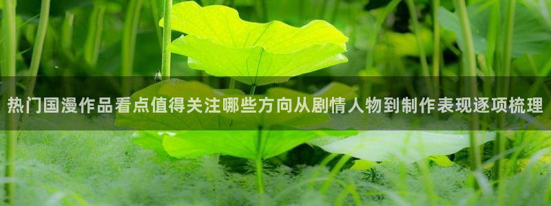 热门动漫排行