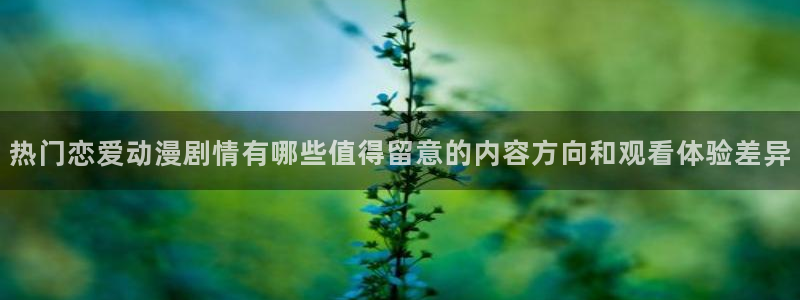 热门动漫榜单