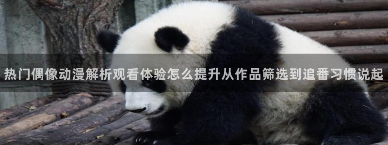 推理动漫