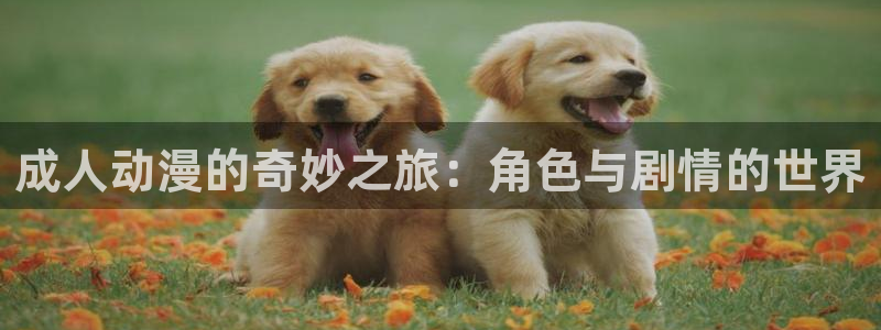 动漫评分榜