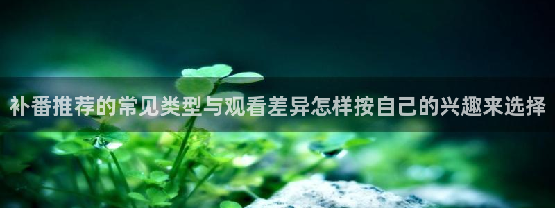 热门动漫排行榜