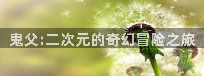 新番在线观看