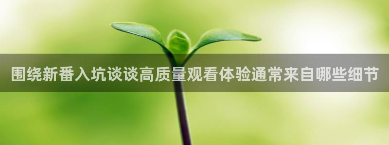 新番动画排行