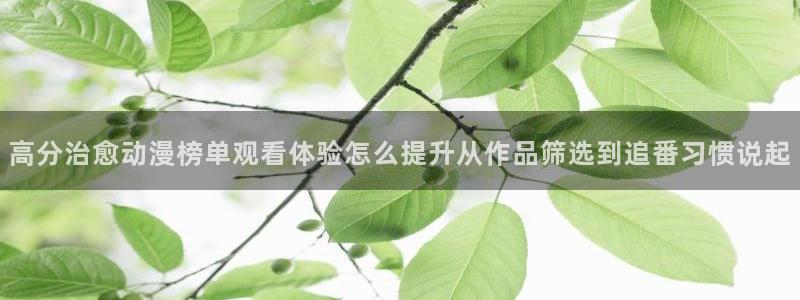 动漫推荐网站:高分治愈动漫榜单观看体验怎么提升从作品筛选到追番习惯说起