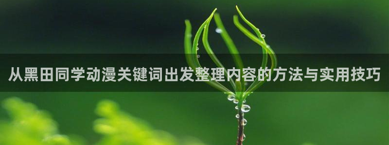 动漫推荐大全:从黑田同学动漫关键词出发整理内容的方法与实用技巧