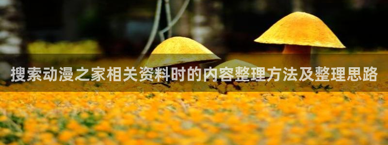 动漫收藏榜