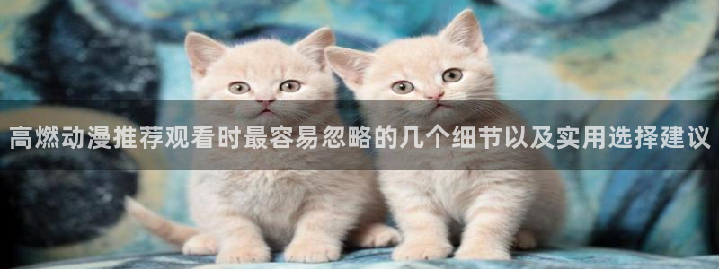 动漫网入口页面