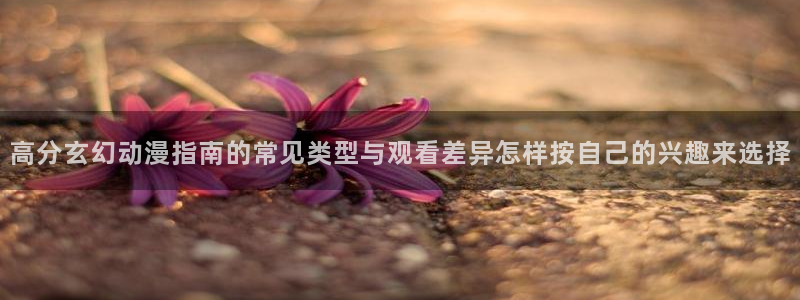 动漫排行榜大全