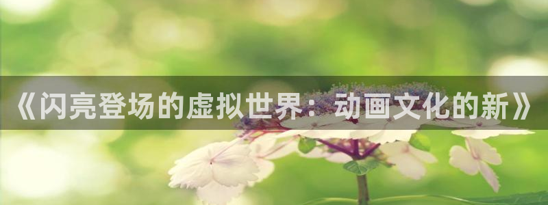 热血动漫