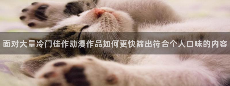 本月动漫