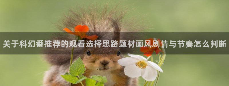 动漫更新列表