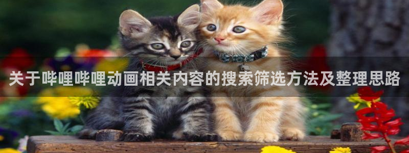 动漫专题