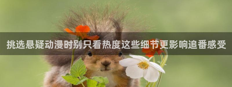 最新动漫资讯