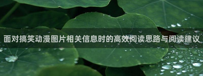 最新动漫作品